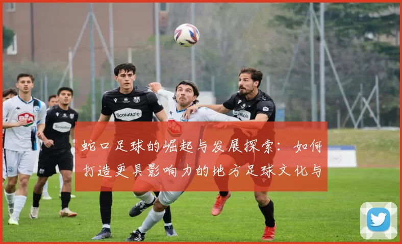 蛇口足球的崛起与发展探索：如何打造更具影响力的地方足球文化与社区参与