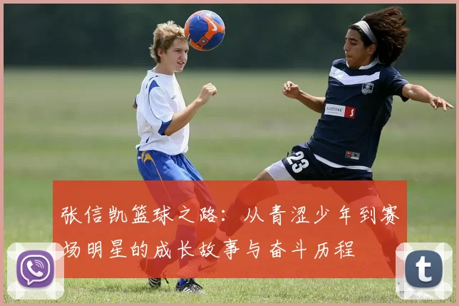 张信凯篮球之路：从青涩少年到赛场明星的成长故事与奋斗历程